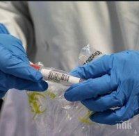 Броят на заразените с коронавирус в Латинска Америка и Карибите надхвърли 2 млн. души