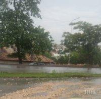 Проливен дъжд удави село до Добрич