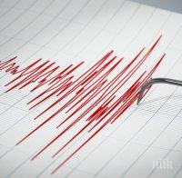 ИЗВЪНРЕДНО: Силно земетресение разтресе Мексико, няма данни за пострадали българи (ОБНОВЕНА)