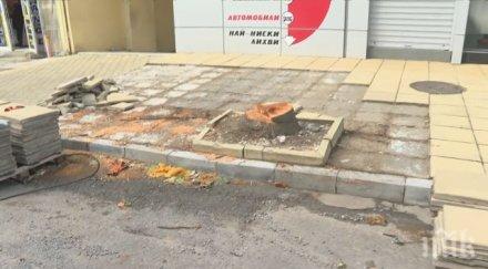 протест изсичането дървета центъра сливен