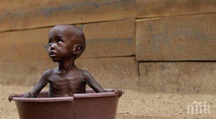 учени откриха кости лакомци обитавали древна африка