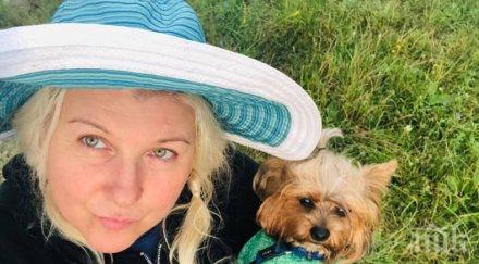 крилете любовта албена михова пак заби младок