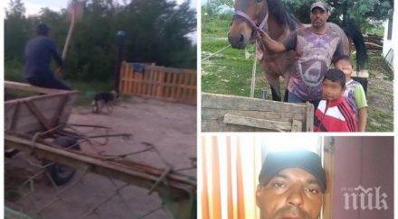 циганин впрегна кучето тегли магарешка каруца