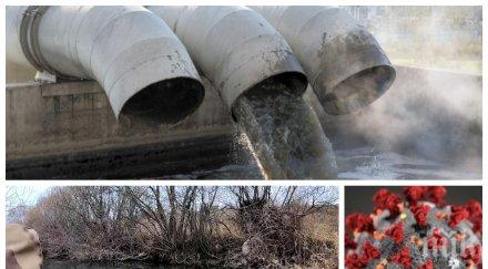 covid плува вирусът блата реки езера дни