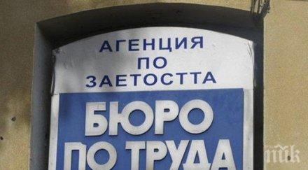 900 души област русе започнаха работа