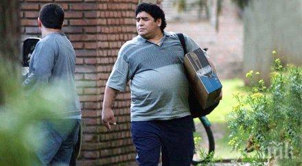 таз добра марадона свали гащи лъсна гол снимка