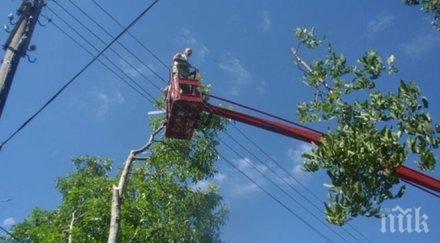 съдът спря рязането тролейбусните жици пловдив