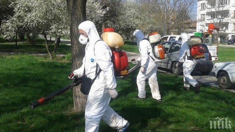 ОПАСНА НАПАСТ! Жена почина в Пловдив след ухапване от кърлеж