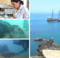 Учени от БАН за замърсяването в Черно море: Големите проблеми са там, където няма пречиствателни станции