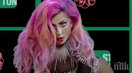 лейди гага обяви конкурс щедър награден фонд фенове