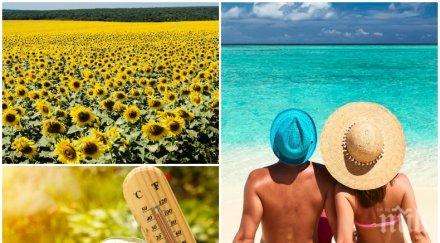 начина подготвим горещата вълна