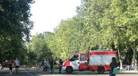 последните минути парапланеристка кацна дърво морската градина бургас