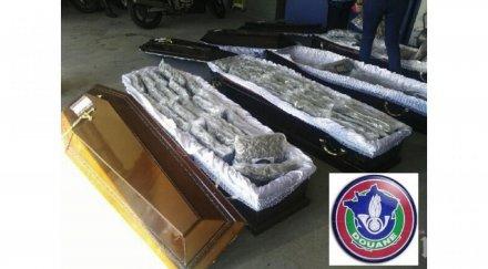 спипаха килограма канабис ковчези менте франция