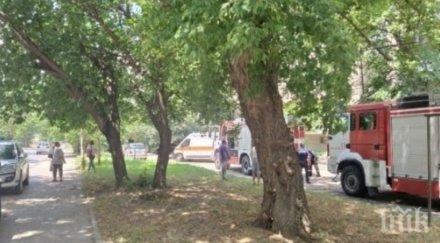 извънредно блок пламна видин