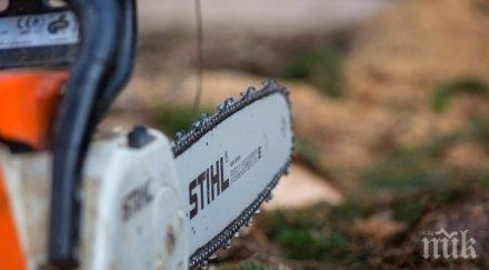 бракониери преследваха горски служители включен моторен трион