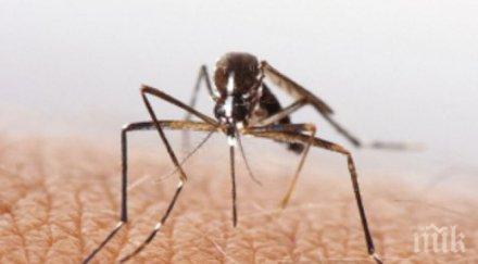 комарите пренасят коронавирус