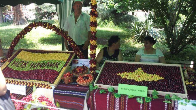 Над 30 виртуални участници на Празника на черешата в Кюстендил