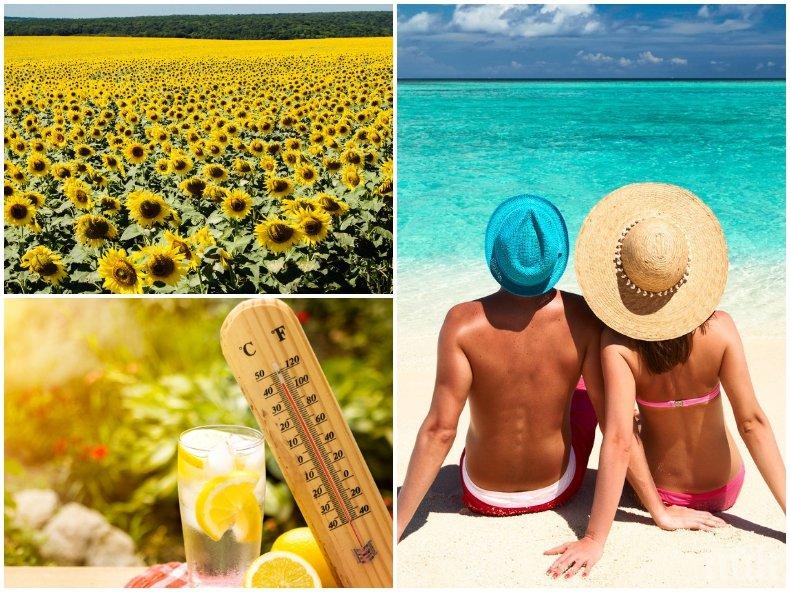 6 начина да се подготвим за горещата вълна