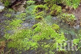 Горски служители ремонтираха съоръжения на Витоша