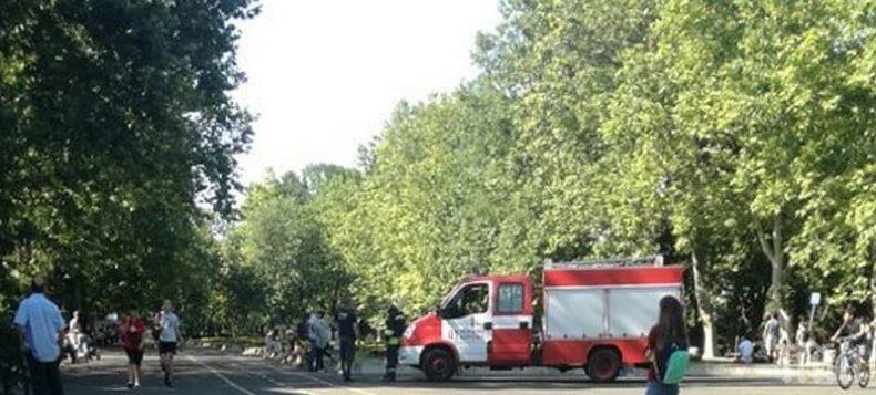 ОТ ПОСЛЕДНИТЕ МИНУТИ: Парапланеристка кацна на дърво в морската градина на Бургас