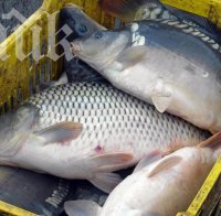 България губи 22 млн. лева по Оперативна програма 