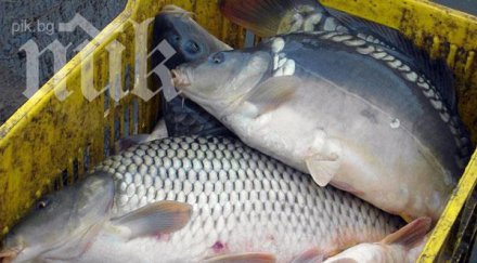 българия губи млн лева оперативна програма рибарство