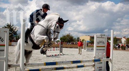 новозеландец загина трагично състезание конен спорт англия