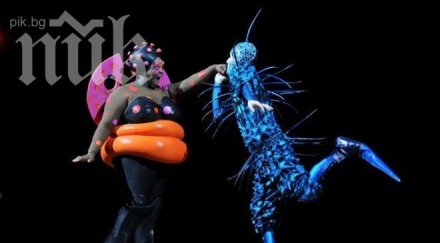 нашенец строи цирк дьо солей