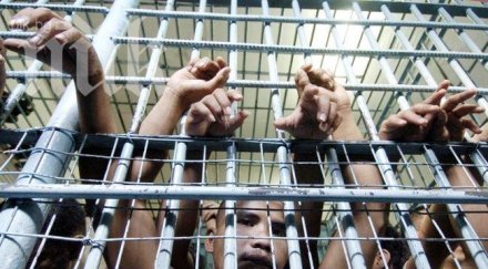 статистика пандизчии обесиха решетките пет години