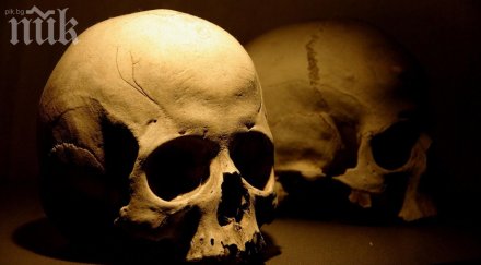 находка човешки кости череп изкопа двора мъж