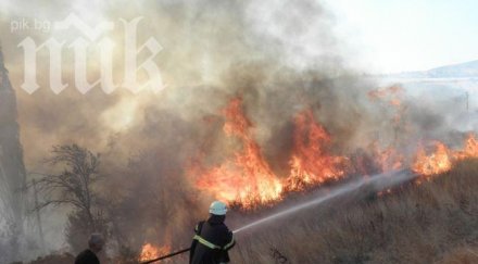 втори ден горски пожари бушуват мадейра