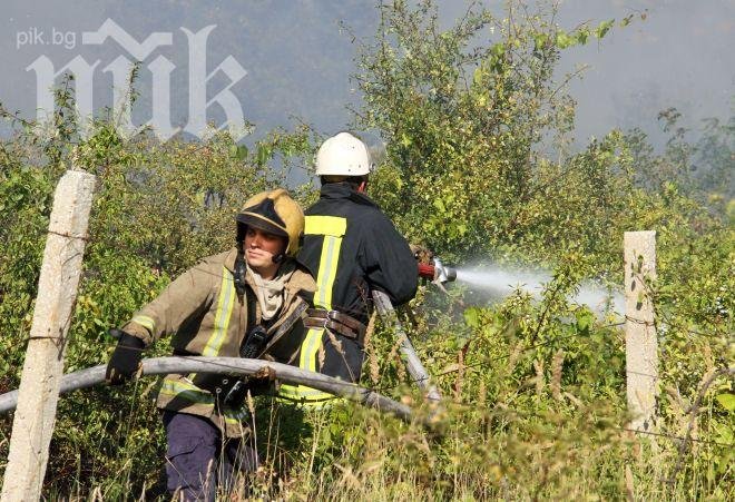 Пожар гори във вилна зона в Стара Загора
