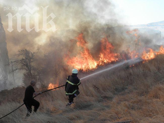 Втори ден горски пожари бушуват в Мадейра 