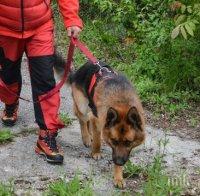 Нова спасителна акция в Пирин, пострадал е турист