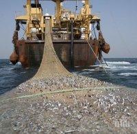 Кризата удари стопанския риболов