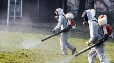 обработват кучешките площадки пловдив кърлежи