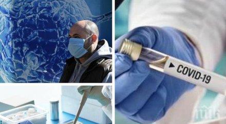 битката коронавируса учени важно откритие имунитета covid