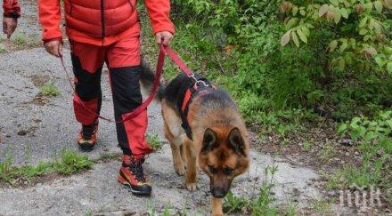 псс съветва оцеляваме планините