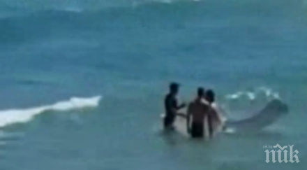 спасител вади пиян турист водата шамари