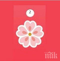 тест избeрeтe цвeтe нaучeтe кaквo cлучи прeз юли