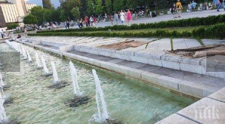 умно село столичани повече изпраха килимите фонтаните ндк