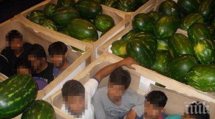 прокуратурата сключи сделка мигрантите камиона дини