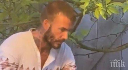 ново амплоа дейвид бекъм захвана пчеларство снимка