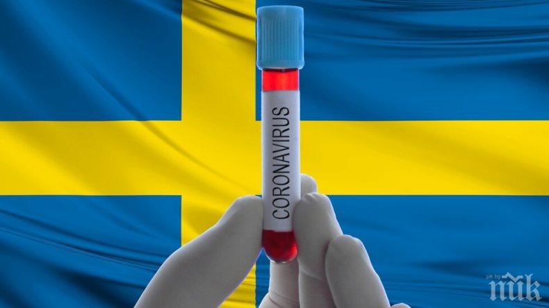 Шведите продължават да упорстват - направили пробив за имунитета срещу коронавируса