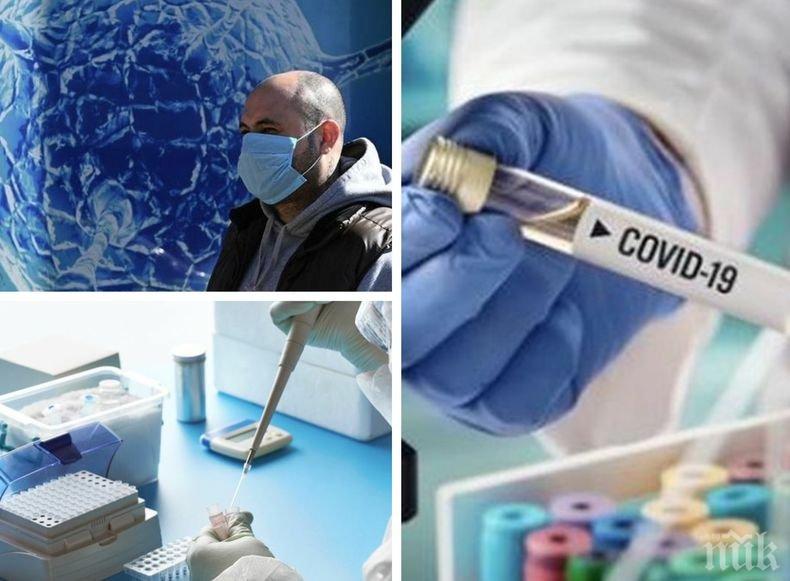 Битката с коронавируса: Учени с важно откритие за имунитета срещу COVID-19