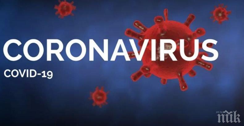 От СЗО: Броят на заразените с коронавирусната инфекция по света е вече над 10,3 млн. души