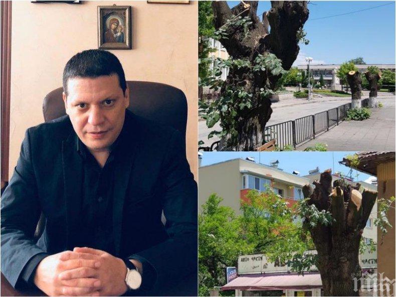 СЛЕД СИГНАЛ НА ПИК: Областният Илиан Тодоров със светкавична реакция - проверява кмета на БСП за изсечените дървета в Златица
