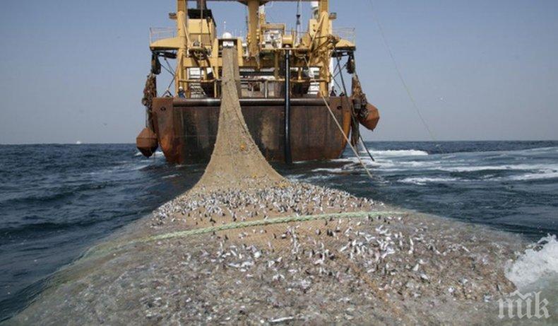 Кризата удари стопанския риболов
