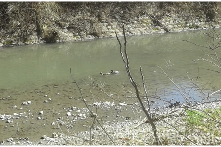 ОГРОМНА ТРАГЕДИЯ: Намерената удавена в Струма жена - майка на четири деца