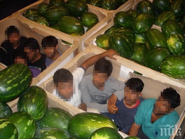 Прокуратурата сключи сделка за мигрантите от камиона с дини
